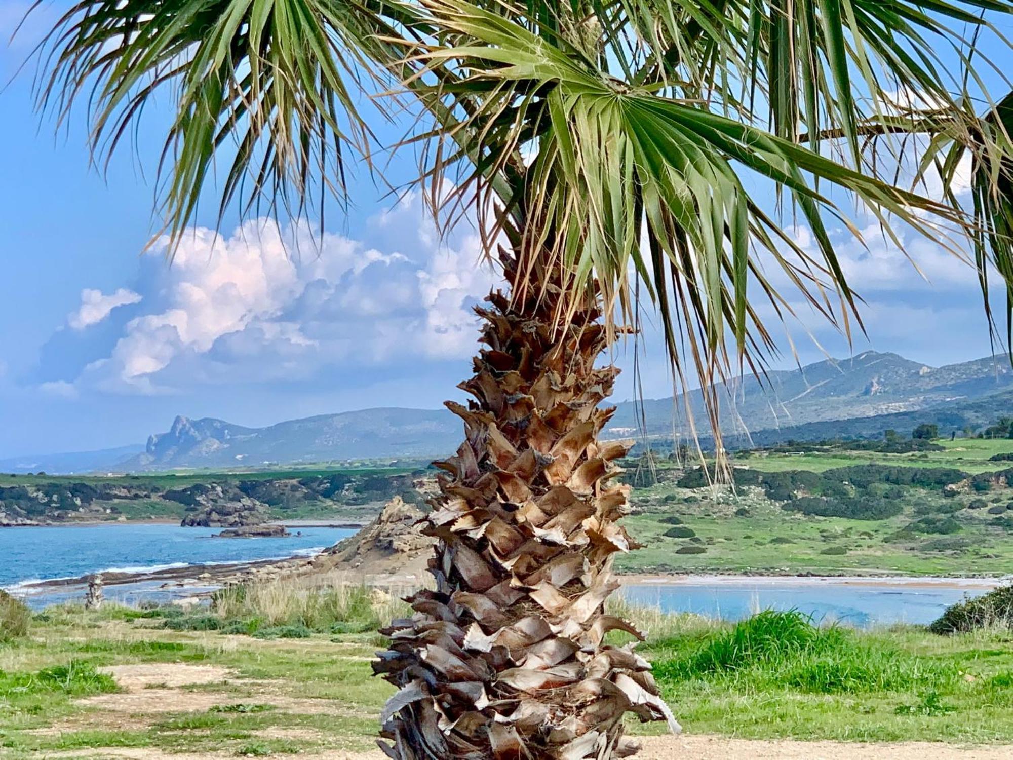 Boho Bay Apartment Ακανθού Εξωτερικό φωτογραφία