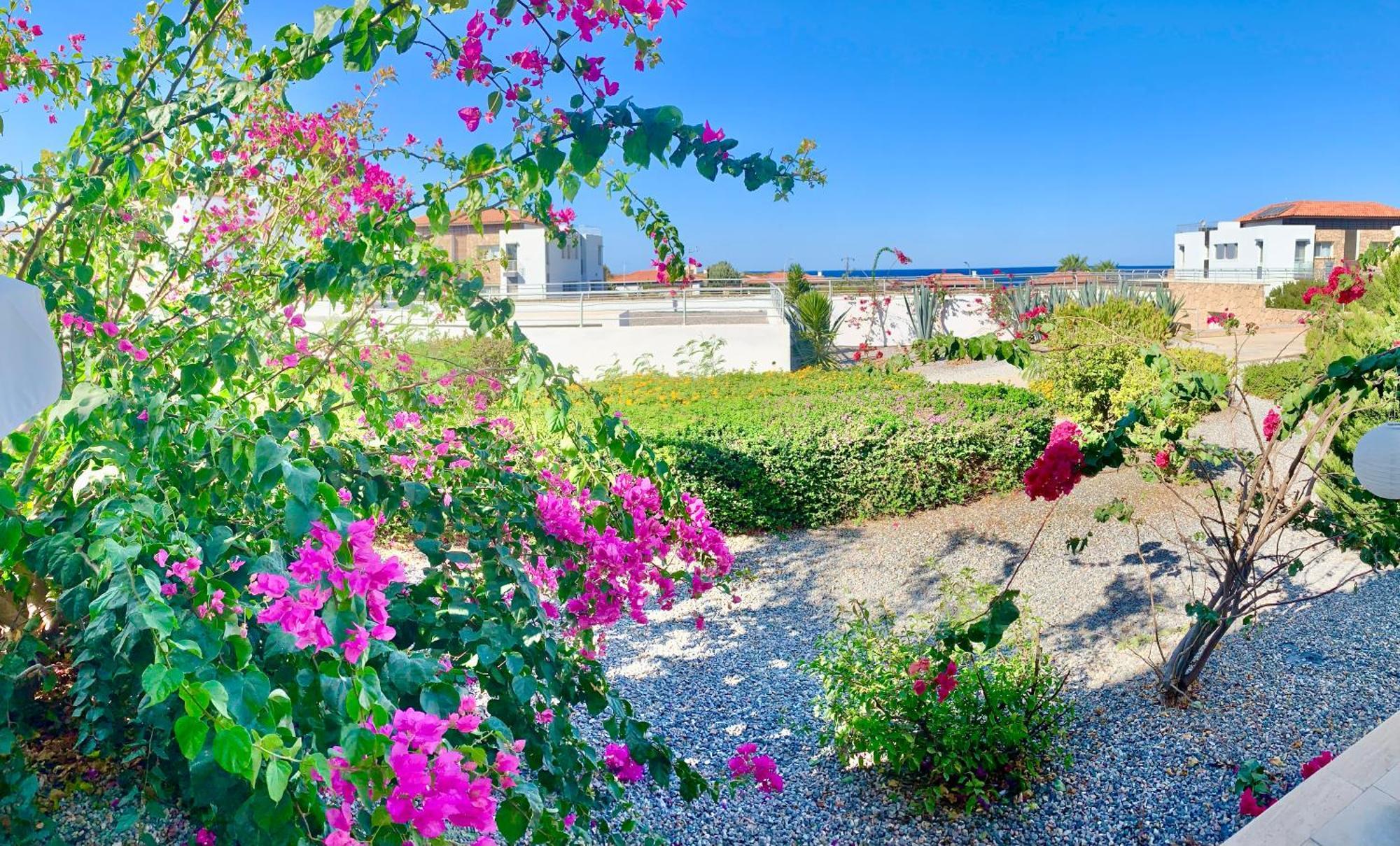 Boho Bay Apartment Ακανθού Εξωτερικό φωτογραφία