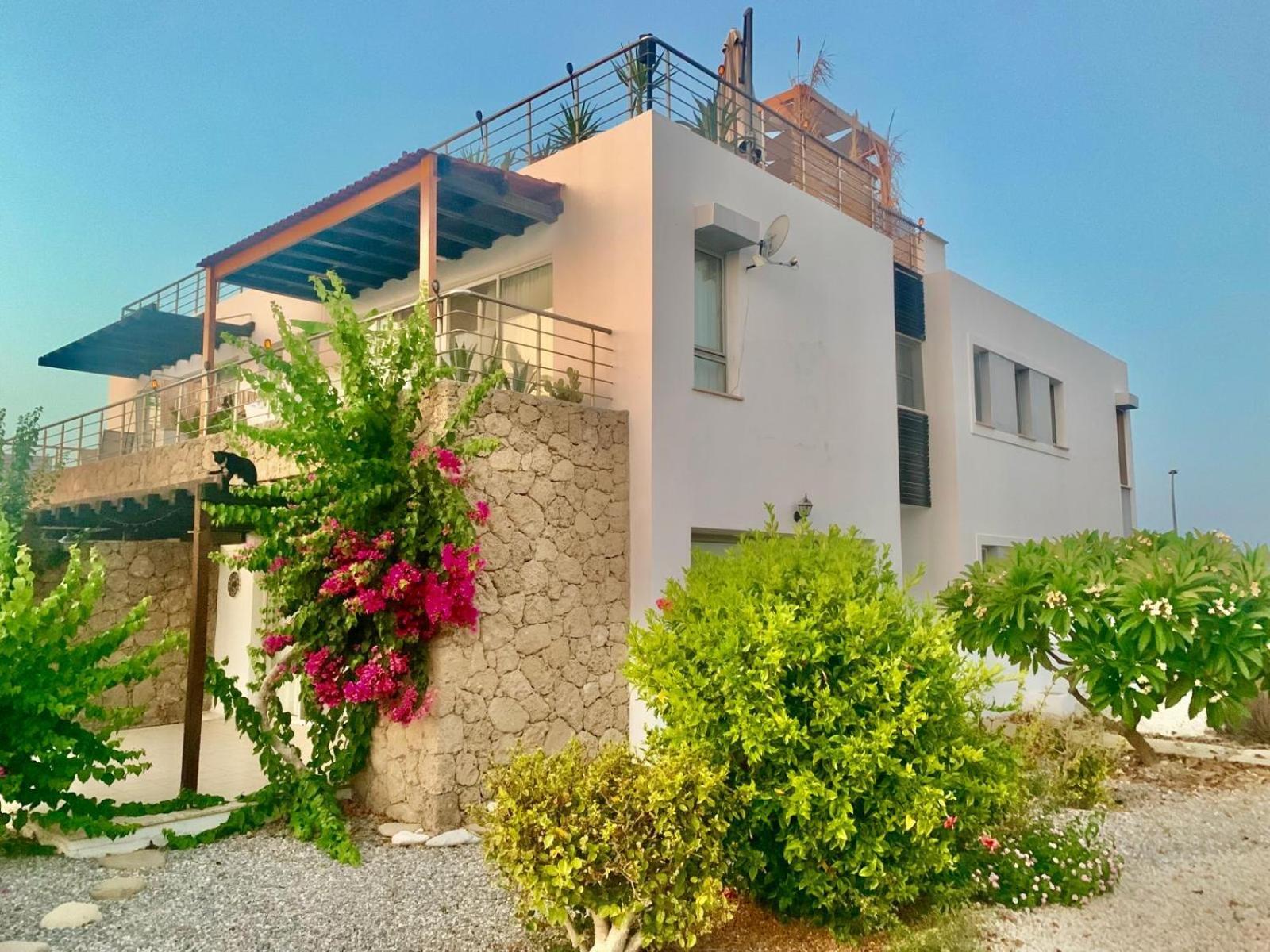 Boho Bay Apartment Ακανθού Εξωτερικό φωτογραφία